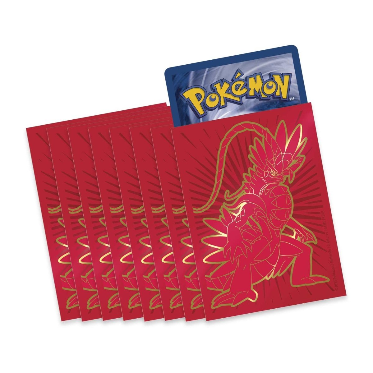 Scarlet & Violet: Base Set Elite Trainer Box - Koraidon