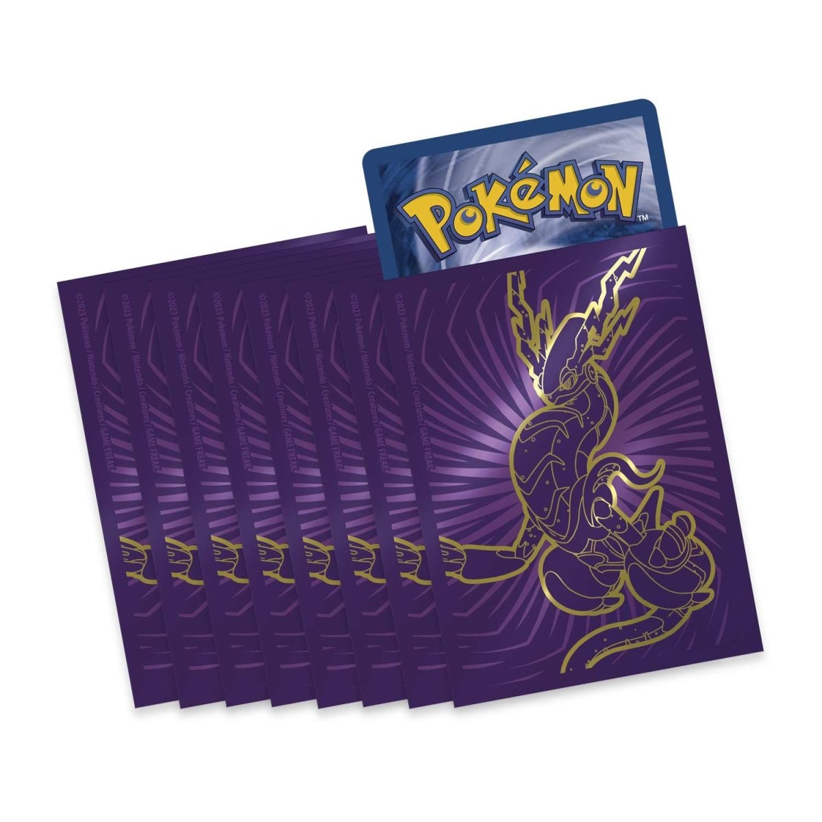 Scarlet & Violet: Base Set Elite Trainer Box - Miraidon